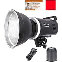 GODOX MS300 スタジオフラッシュ モノブロックストロボ Amazon | 【国内正規代理店】 Godox MS300-V MS300V スタジオ